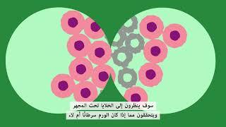 What is cancer? (Arabic) | ما هو السرطان؟ (العربية) | Macmillan Cancer Support