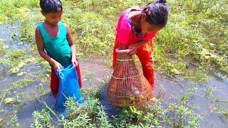 Girl Fishing || Two Amazing Girl Catching Fish With Polo || Polo Fishing in Village