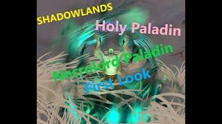 Shadowlands PvE Holy Paladin Necrolord Maraad Darkvein