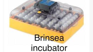 Brinsea incubator review. Hatching eggs made easy!!!!!