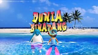 SISI UNIK BURUNG PUYUH -  DUNIA BINATANG (27/9/17) 3-2