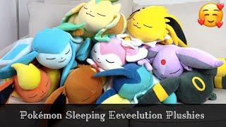 Pokémon Sleeping Eeveelution Plush Collection Review