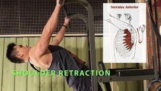 Shoulder Protraction & Retraction Exercise: Intermediate Shoulder Rehab strength contidioning