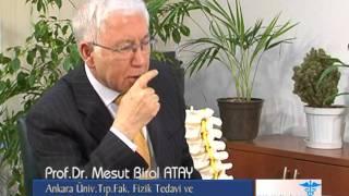 Prof. Dr. Mesut Birol ATAY - Doç. Dr. Hasan Çağlar UĞUR, Bel Fıtığı