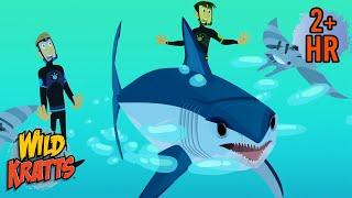 The Fastest Shark Vs the Fastest Fish | Mako Shark Vs Sailfish | Wild Kratts