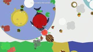 The Megalodon and upgrading 2 Astral Phoenixes. - Mohio (mope.io)