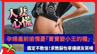 孕婦產前偷情憂「寶寶變小王的種」　鑑定不敢信！求教蘇怡寧讓網友笑噴 | 台灣新聞 Taiwan 蘋果新聞網