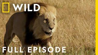 Rival Dynasties & the Fall of the Queen (Full Episode) | Savage Kingdom