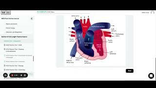 HESI A2 | Anatomy and Physiology Practice Test 2023 (25 Questions with Explained Answers)