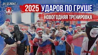 2025 УДАРОВ ПО ГРУШЕ / НОВОГОДНЯЯ ТРЕНИРОВКА/ КЛУБ ЯРОПОЛК / ОТМЕЧАЕМ НОВЫЙ ГОД ПРАВИЛЬНО, 31.12.24