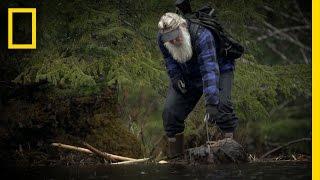 Busy Beaver Trapping | Port Protection