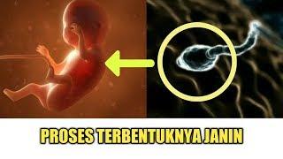 Proses Lengkap Terjadinya Kehamilan, dari Sel Telur Sampai Jadi Janin [Fertilization]