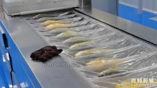 Fish thermoforming vacuum packaging machine