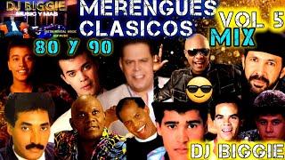 MERENGUE CLASICO MIX  BAILABLE DE LOS 80 Y 90 VOL 5 DJ BIGGIE #merengueclasico #merenguemix