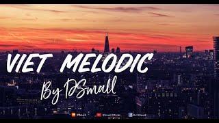 [ VIET MELODIC ] by DSmall