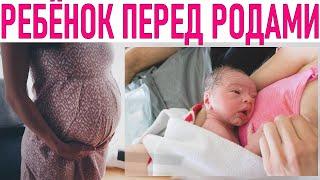 ЭТО ЧУВСТВУЕТ РЕБЕНОК ПЕРЕД РОДАМИ | Что чувствует плод во время родов