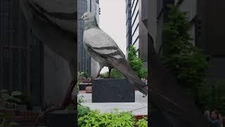 Take a sneak peek at this soon-to-be-famous pigeon. #sculpture #placemaking #publicart