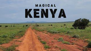 Magical Kenya