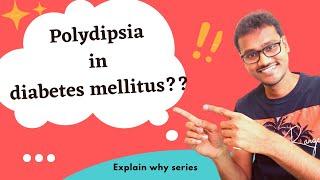 Polydipsia in diabetes mellitus. WHY??