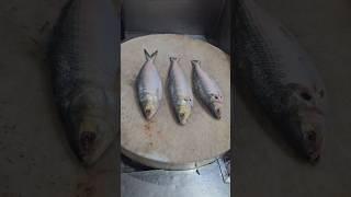 Professional Man Amazing Hilsa Fish Cutting Skills | Most Creative Cutting Style#shorts