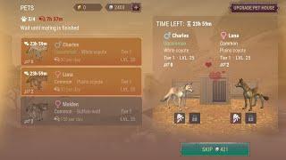 How to use Breeding house Best tip on full review on Quest: in search of love Westland survival