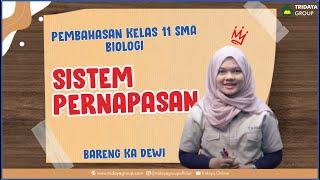 Kelas 11 SMA - Biologi - Sistem Pernapasan - Bimbel Tridaya Online