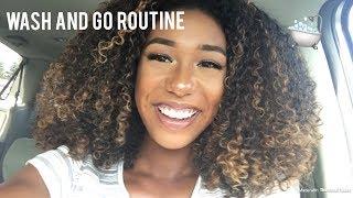 Curly Hair Routine | Wash & Go