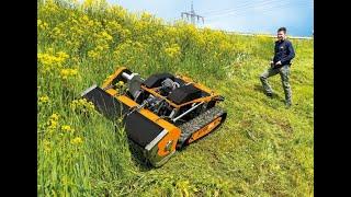 AS MOTOR AS 1000 OVIS RC en action