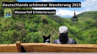 Deutschlands schönster Wanderweg 2023 | Wasserfall-Erlebnisroute in der Vulkaneifel | Tageswanderung