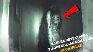 QIZIQ KANAL ► TOP-3 Kamera Obyektiviga Tushib Qolgan Mahluqlar...