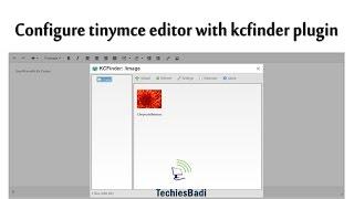 Configure tinymce editor with kcfinder plugin