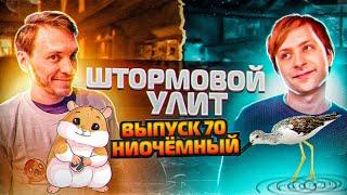 Штормовой Улит №70 - Ниочёмный