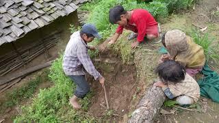 Digging land farming purpose || Village life || Traditional life