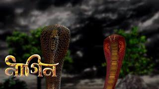 Nagin/Snake animation/3D Snake animation/Two snake Fighting Video#3danimation #snake #animation