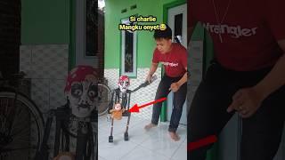 Sikecil gendong monyet #sulap #magic #sihir #shortvideo