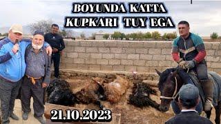 SURXONDARYO VILOYATI BOYSUNDA KATTA KUPKARI BOSHLANDI 21.10.2023