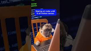 Coders staring at their code be like