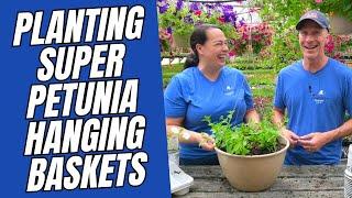 Planting SUPER PETUNIA Hanging Baskets