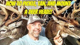 DEER TAXIDERMY | How to Mount a Deer Head | **Super Easy** Whitetail Taxidermy!