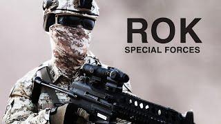 "R.O.K SF" | South Korean Special Forces - "Tiger spirit"