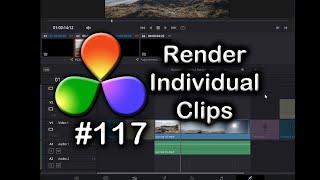 DaVinci Resolve Tutorial: How To Render Individual Clips