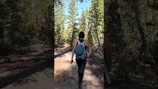 ASMR Waterfall Hike  #hiking #naturehike #natureasmr #adventure #mountains