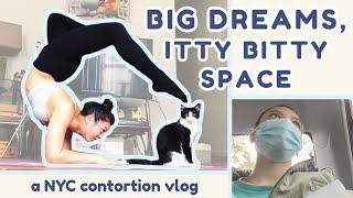 DITL of a NYC Contortionist in Training | Online Contortion and Handstand Training