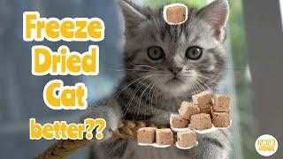 Is Freeze-Dried Cat Food Better?