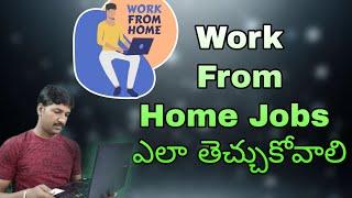 How to get a Work From Home job For Software Developer in Telugu  | @LuckyTechzone