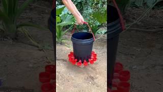 Drinking Fountain for Chickens & Ducks #ChickenWaterer #viralshorts