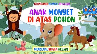 BERNYANYI SAMBIL BELAJAR - ANAK MONYET DI ATAS POHON (MENGENAL SUARA HEWAN)