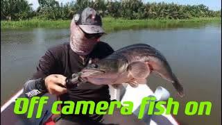 Sg gedong Video ini off camera fish on/top water/Ozmy paddle/help subscribe like comment tq guy’s