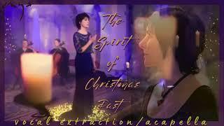 Enya - The Spirit of Christmas Past ️ (vocals extraction/acapella)