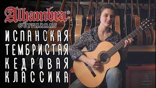 Испанская классическая гитара Alhambra, студенческий уровень | gitaraclub.ru